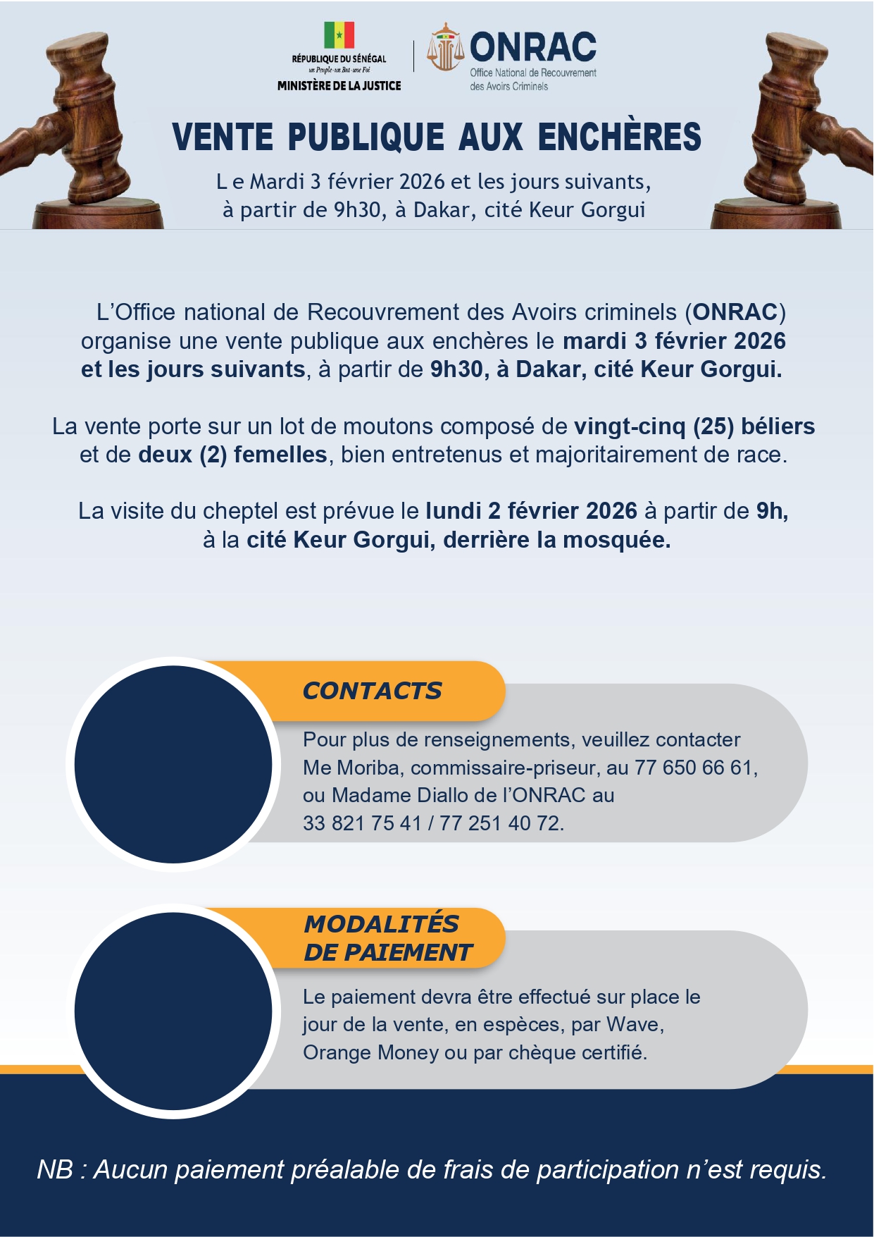 Vente publique aux enchères – Lot de moutons (25 béliers et 2 femelles)